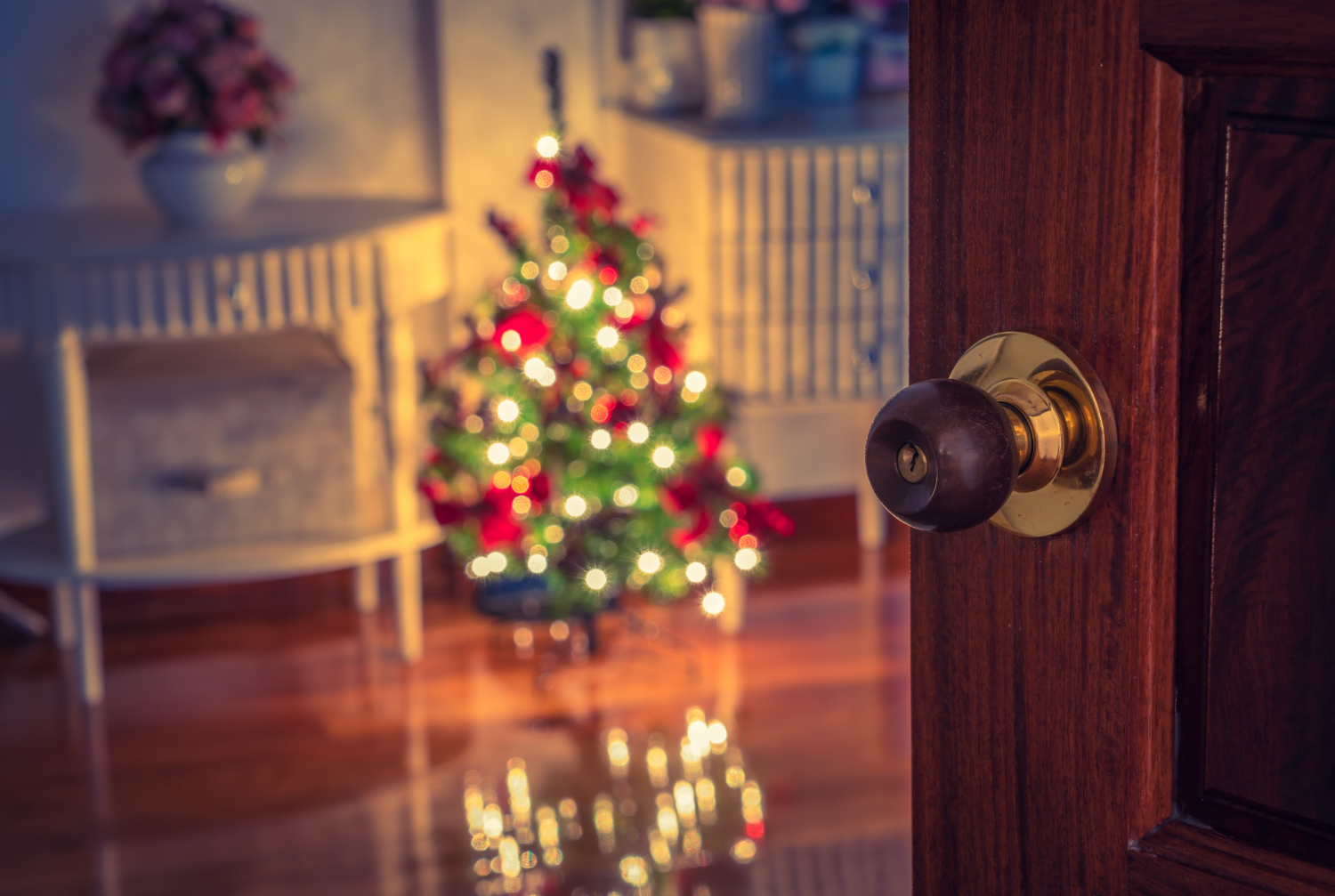 Securing your home for the Christmas Holidays